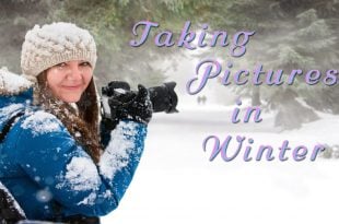 photos in winter